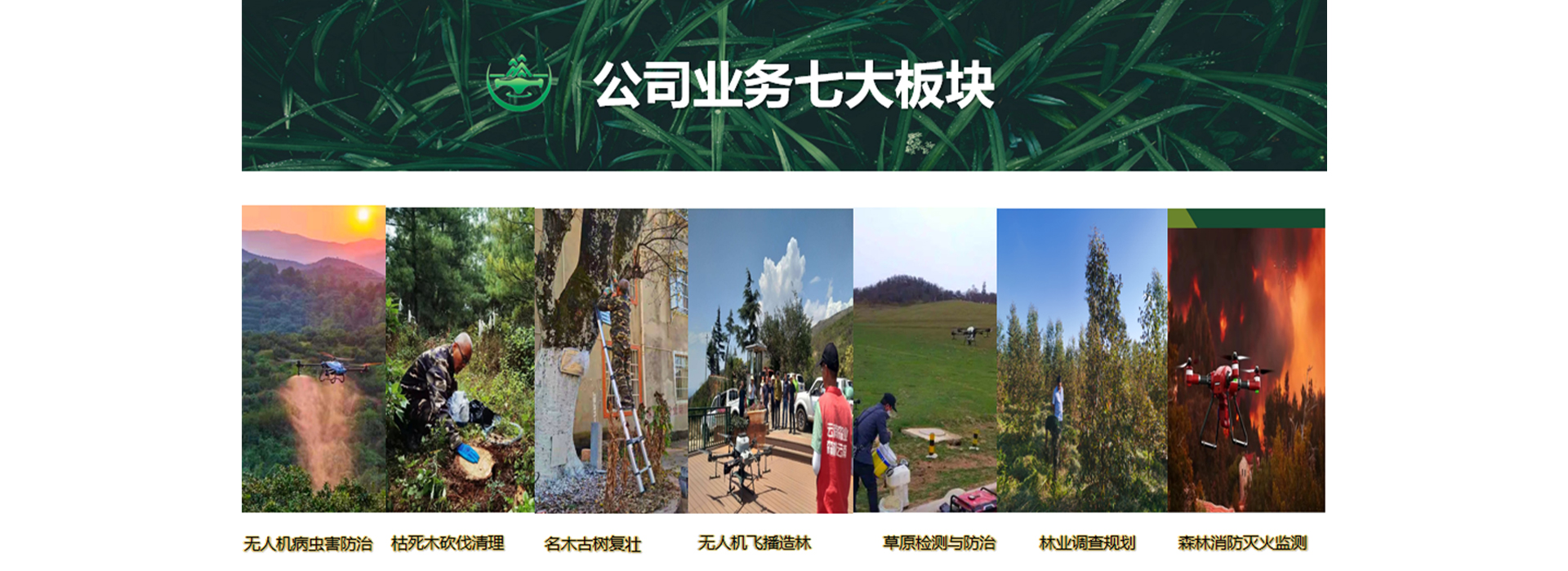 云南森業(yè) 行業(yè)先鋒